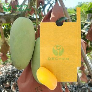 Protection Anti Uv Grow For Mango Planting Grape Cultivation Fruit Cover Paper Bag