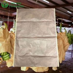 Banana Mango Protective Single Layer White Color Paper Growing Bag