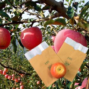 Hanging Grow Bags Fruit Harvest Double Layers Apple Protection Paper Bag