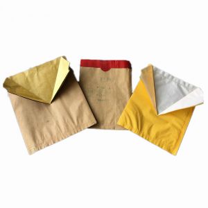 Breathable Growing For Apple Or Pear Mango Tree Cover Paper Bag