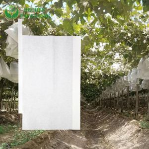 Guava White Sri Lanka Mango Growing Paper Grape Insect Repellent Bag