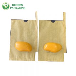 Mango Bagging Kraft Paper Bag Eco Friendly Bags For Fruits