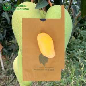 Mango Protective Growing Bag Fruit Bagging Guava Taiwan