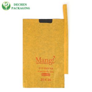 Peach Persimmon Growing Paper Bag