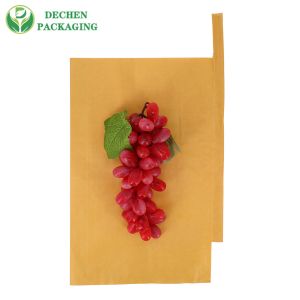 Grape Packging Two Layer Mango Protection Carbon Protective Paper Bag