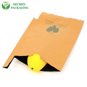 Wholesale Double Layer Mango Protection Paper Bag Protect Grapes From Birds