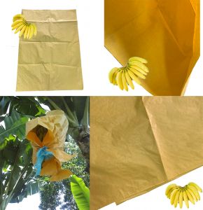Banana Insulation Mango Growth Protection Bag Wax Coated Paper Bags To Cover Fruit