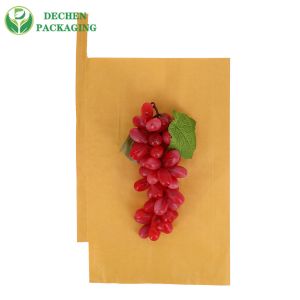 Grape Grow Wax Coat Waterproof Logo Printed Apple Growing Paper Bag