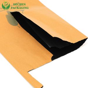 Bags Biodegradeable Protect Waterproof Paper Bag For Mango Grow