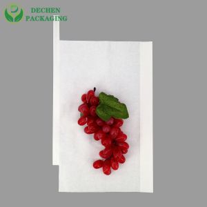 Grape Double Layers Apple Growing Bag Eco Friendly Paper Material Fruit Protection Bags
