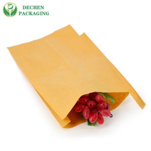 Grade Mango Water-proof Protective High Quality Grape Protection Bag