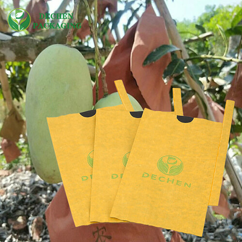 Fruit bag
