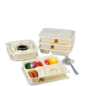 Biodegradable rice salad soup noodle ramen disposable bowls with lid