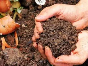 How to start your restaurant using compostable food boxes How to start your restaurant using compostable food boxes