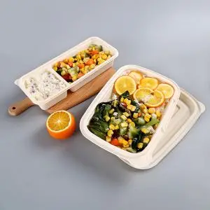 Biograde Fast Food Boxes Takeaway Packaging Disposable