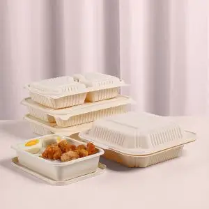 Container Lunch Box Set Insulated Bento Salad Packaging Transparent Food Rou