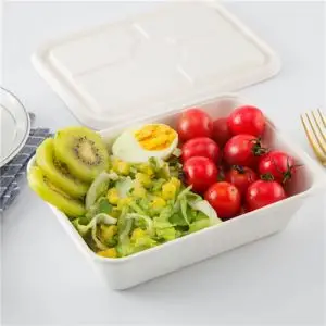 packaging containers Biodegradable food container 3 box lunch set