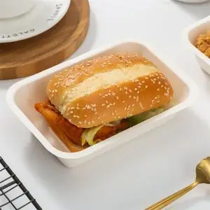 Biodegradable disposable food clamshell/3 5 compartments food box/tray