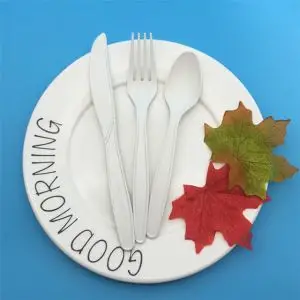 Cheap Spoon Fork Disposable Sets 100% Natural Biodegradable Cutlery