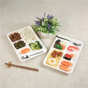Biodegradable Bagasse Takeaway Containers for Restaurant Supply