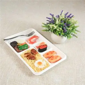 Clamshell Packaging: What Is Bagasse Containers with Plastic Lids? Bagasse Containers Features