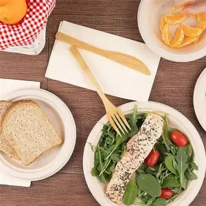 Sugarcane Bagasse Natural Paper Plates