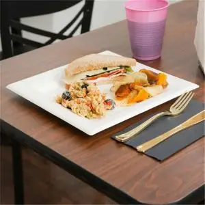 Disposable Plates, Bagasse Square Plates, Bagasse Trays for Food