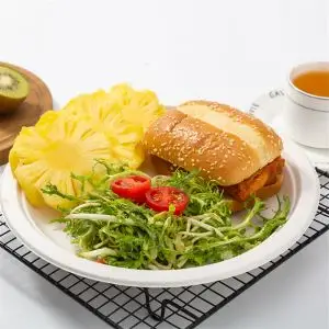 Biodegradable 10-Inch Bagasse Plates - Disposable Eco-Friendly
