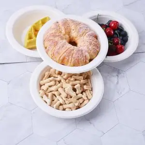 Disposable 9" Plate Bio-Based Made from Sugarcane Bagasse