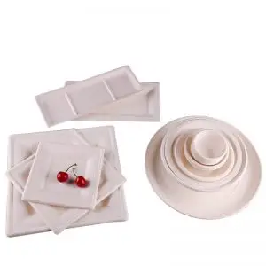 Compartment Plate Bagasse Trays