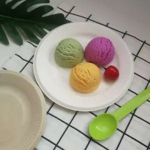 Biodegradable Bagasse Sugarcane Dinner Plates