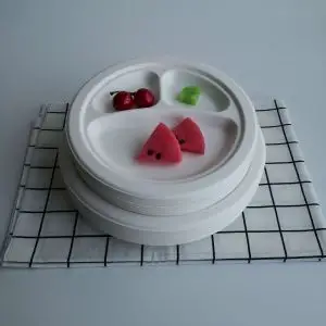 Biodegradable Disposable Food Clamshell, 3-5 Compartments Food Box/Tray
