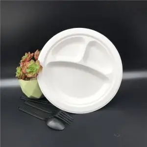Cheap Sandwich Platters Portland Bagasse Plates - Sugarcane Plates