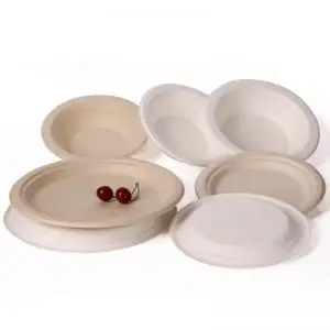 Biodegradable Small Food Tray - 3/5 Compartments Bagasse Plate