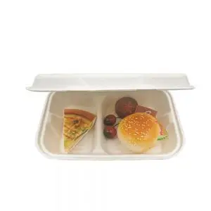 Eco-Phx-HL6 6 Bagasse Hinge Containers 400cs - To Go Boxes Eco-Phx-HL6 6 Bagasse Hinge Containers 400cs - To Go Boxes