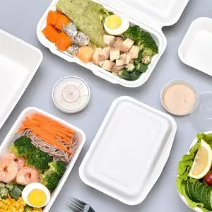 Wholesale Restaurant Supply Earthchoise Container Fiber Bagasse Manufacturer Bagasse 2 Compartment Take Out Containers