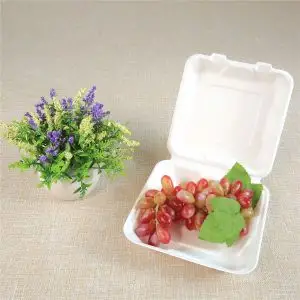 EarthChoice Bagasse Blend White Rectangular Utility Container | Sugarcane Takeout Box