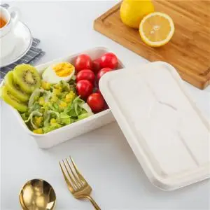 Biodegradable disposable food clamshell / 3 5 compartments food box / tray