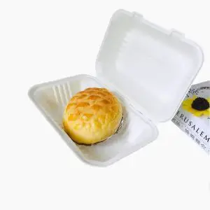 Biodegradable Disposable Food Clamshell / 3 5 Compartments Food Box Tray