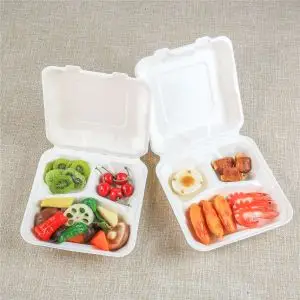 Compostable Sugarcane Clamshell Food Containers | Eco-Friendly Takeout Boxes