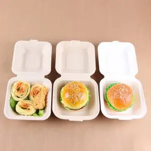 Biodegradable Disposable Food Clamshell - 3 &amp; 5 Compartments Food Box/Tray