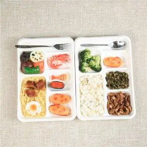 Biodegradable Sugarcane 5 Compartment Food Tray / Clamshell