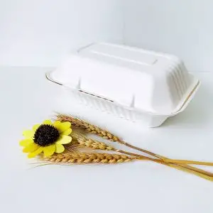 Biodegradable disposable food clamshell/3 5 compartments food box/tray