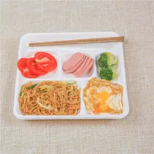 Biodegradable Disposable Food Clamshell / 3 5 Compartments Food Box Tray