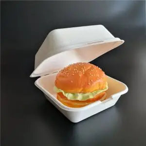 Biodegradable 3-Compartment Sugarcane To-Go Container 8x8x3 HL 200ct