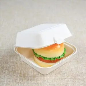 Biodegradable disposable food clamshell/3 5 compartments food box/tray