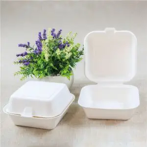 Chinese Restaurant Supplies Sushi Trays Wholesale Food Box To Go