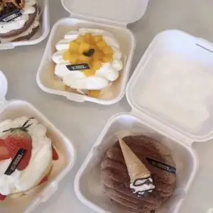 Biodegradable Disposable Food Boxes & Salad Containers with Lids Biodegradable Disposable Food Boxes & Salad Containers with Lids