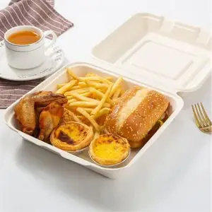 Biodegradable disposable food clamshell/3 5 compartments food box/tray Biodegradable disposable food clamshell/3 5 compartments food box/tray