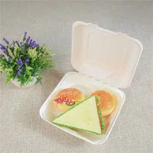 Biodegradable Disposable Food Clamshell, 3 & 5 Compartments Food Box/Tray Biodegradable Disposable Food Clamshell, 3 & 5 Compartments Food Box/Tray